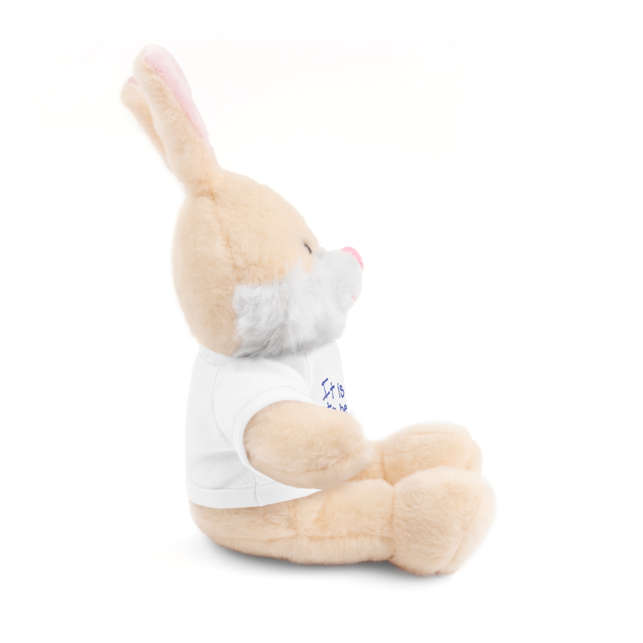 It Is Safe to Be Me Plush - Image 5
