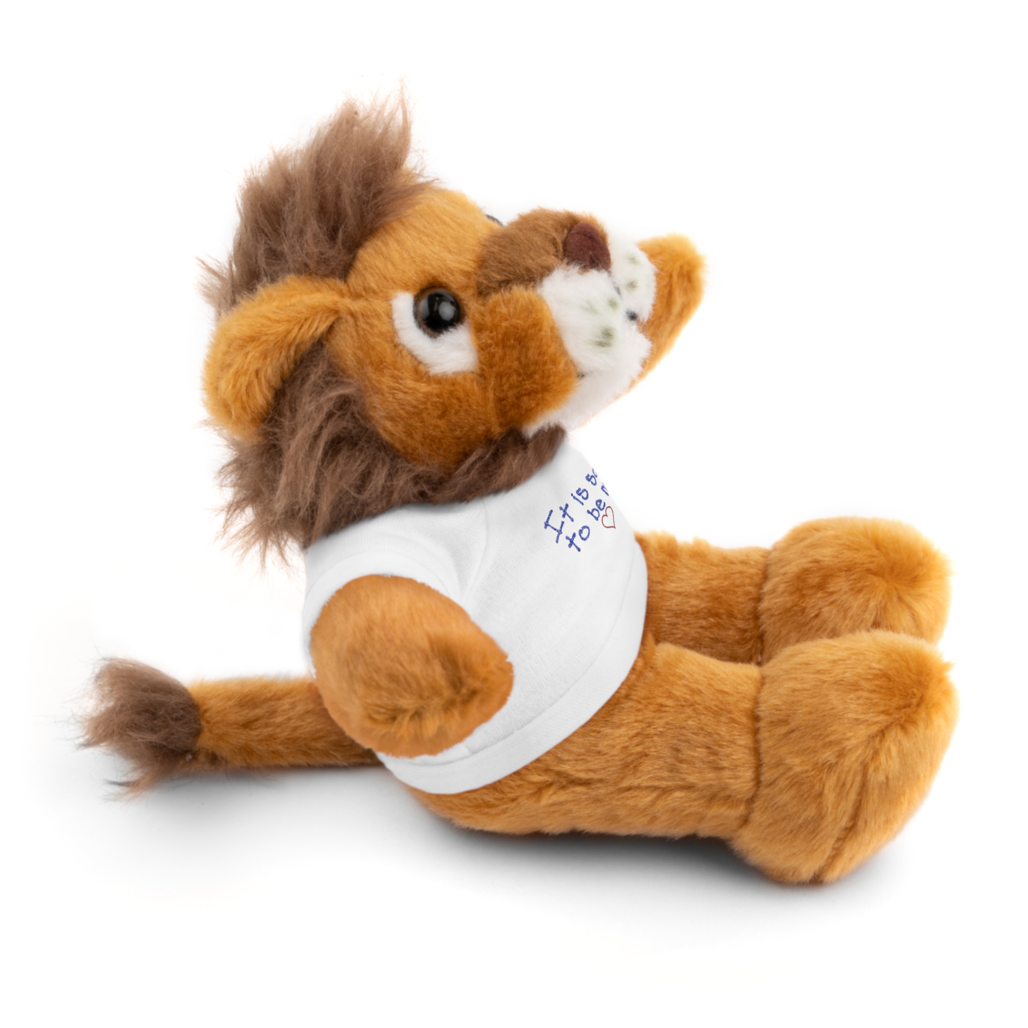 It Is Safe to Be Me Plush - Image 11
