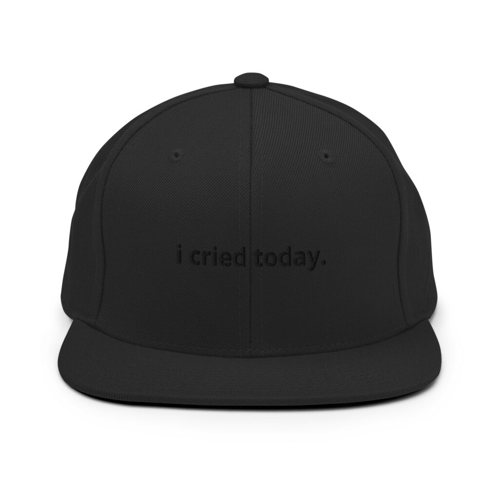 i cried today. Snapback