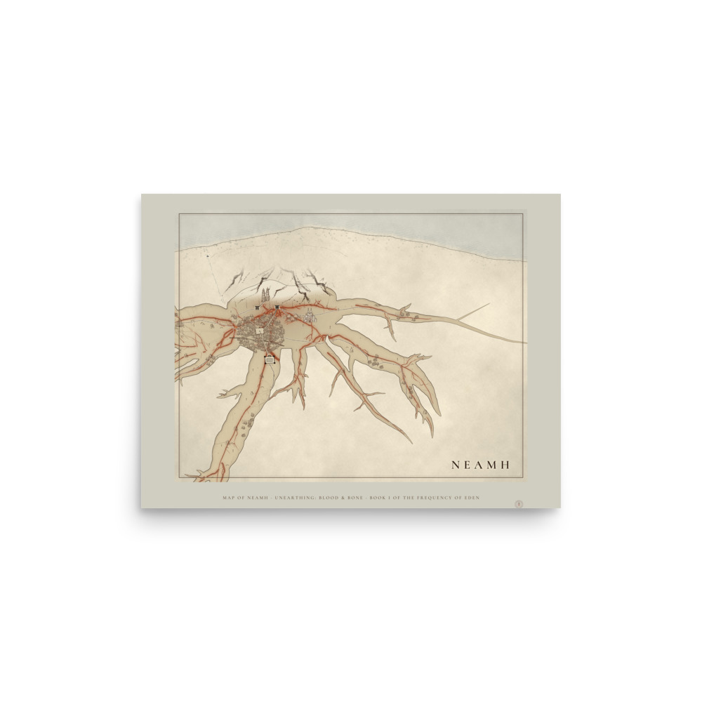 FOE-035 NEAMH Map Print 16x12