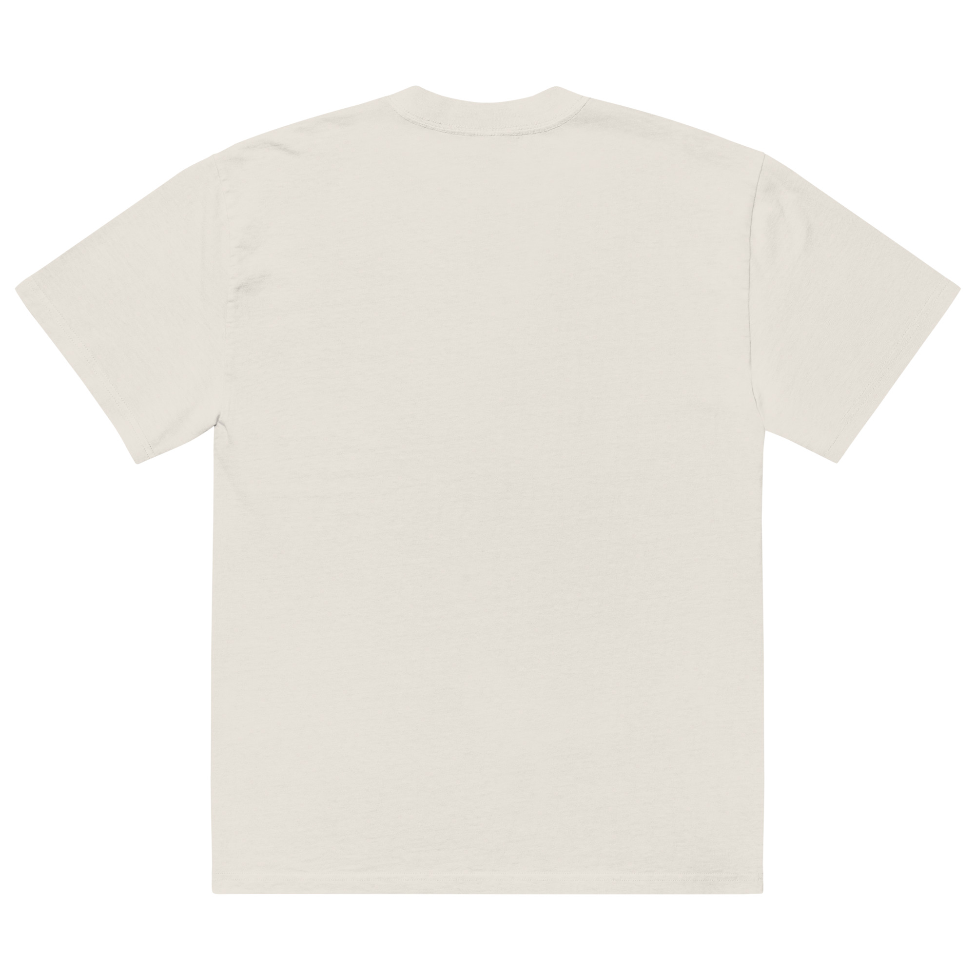 I Make It Digestible Bidloo Anatomy Oversized Tee - Image 5