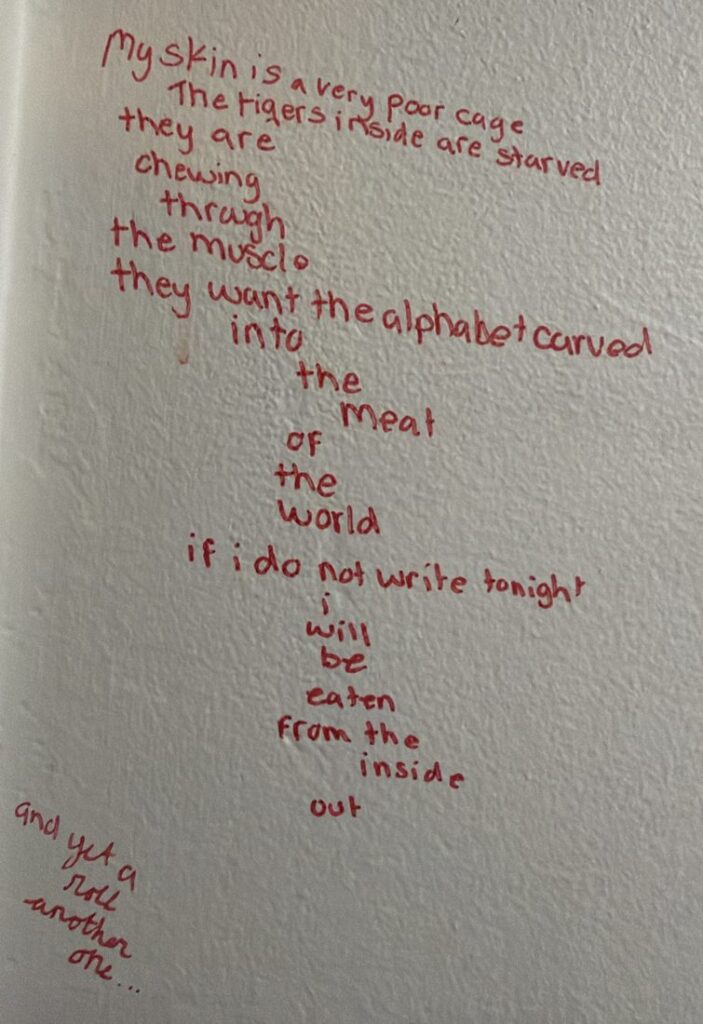 A poem in red marker on her hallway wall: my skin is a very poor cage, the tigers inside are starved.