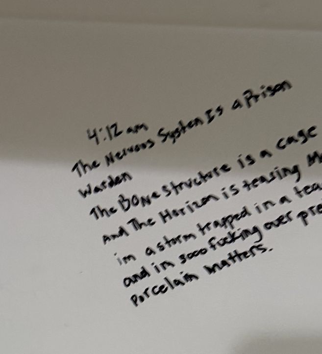 Written above the toilet: 4:12 am. The nervous system is a prison warden. The bone structure is a cage. And the horizon is teasing me.