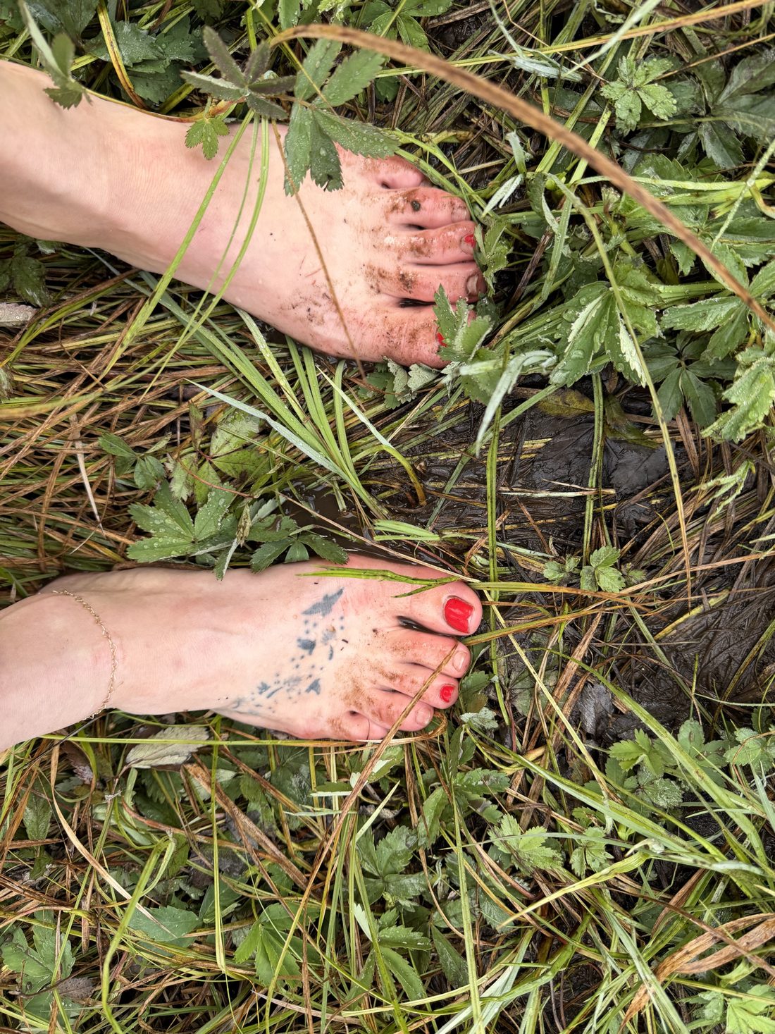 Bare muddy feet with red toenails standing in wet grass and wild strawberry leaves.