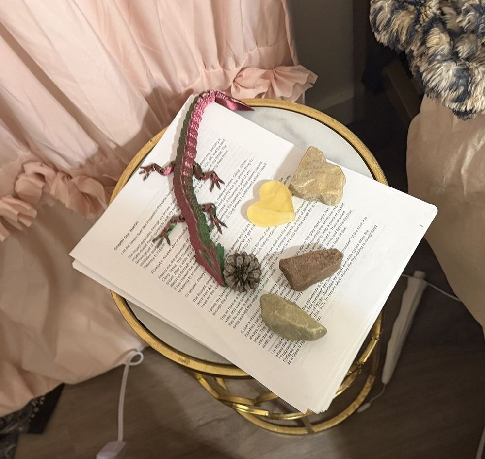 The printed manuscript of Chapter One, held down by stones, a heart stone, a pinecone and an articulated dragon.