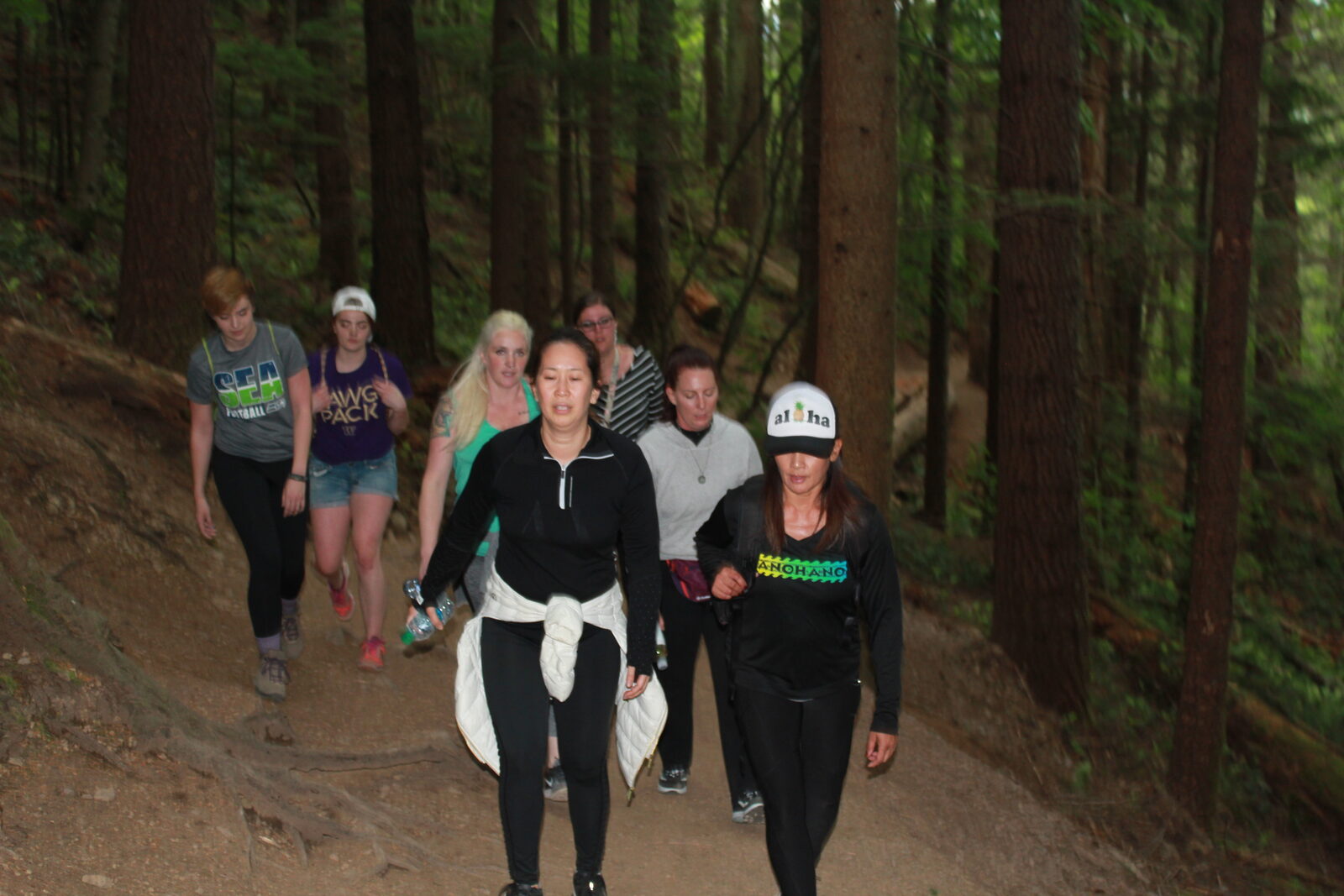 A group walking up a forest path.