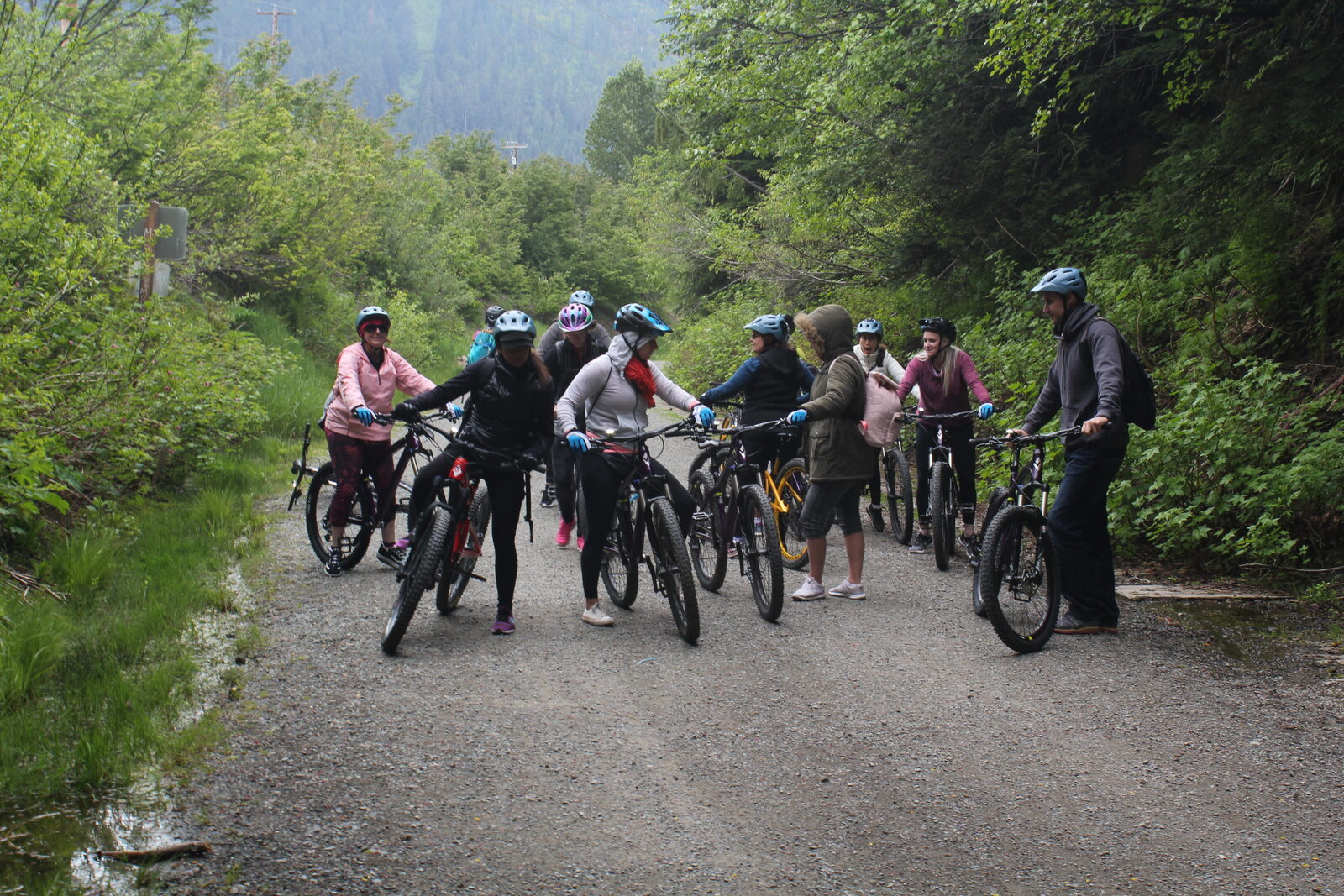 A group on bicycles on a forest road.