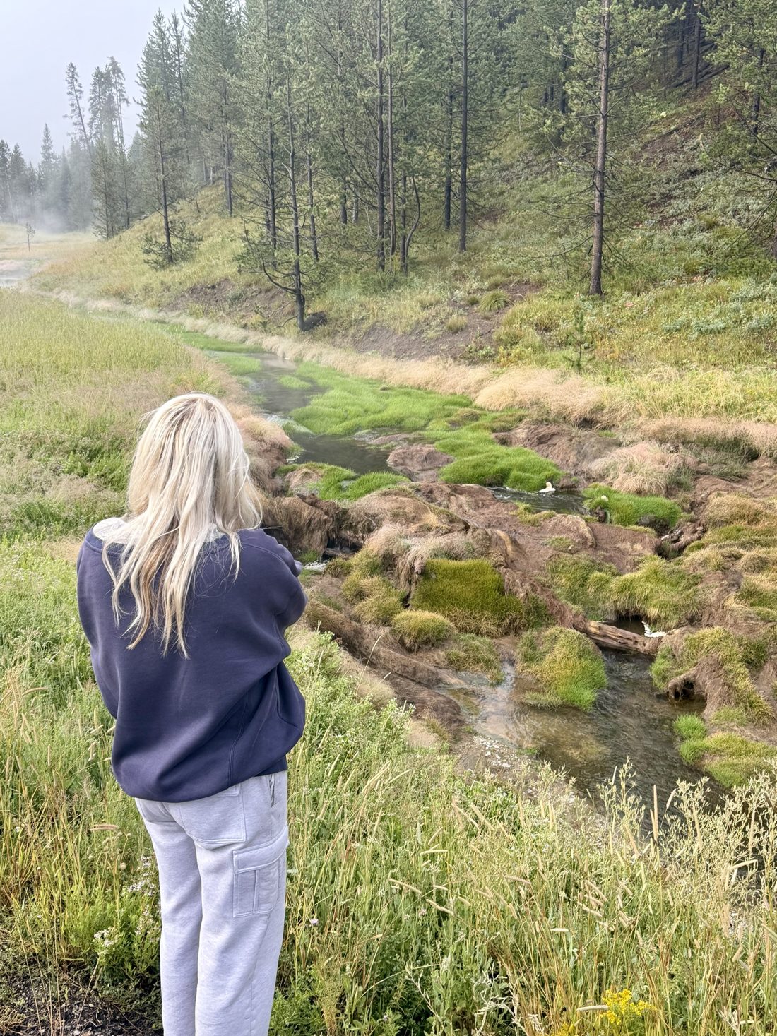 Nikyla from behind, watching a steaming stream run through bright green grass and pines.