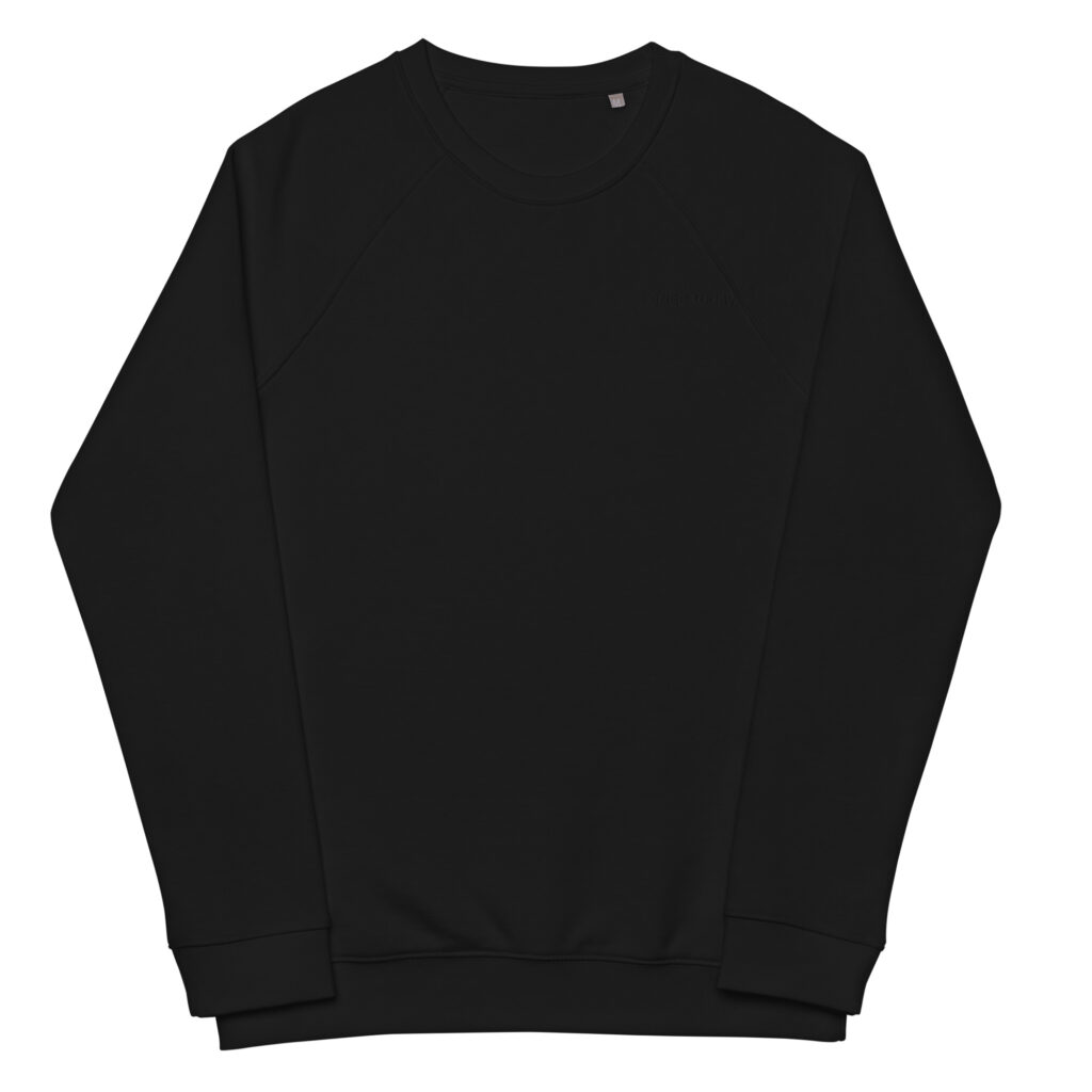 i cried today. Raglan Sweatshirt